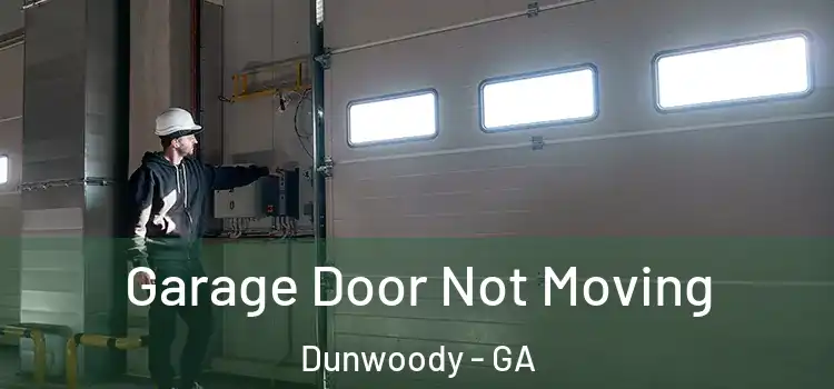  Garage Door Not Moving Dunwoody - GA