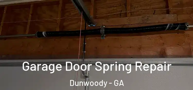  Garage Door Spring Repair Dunwoody - GA