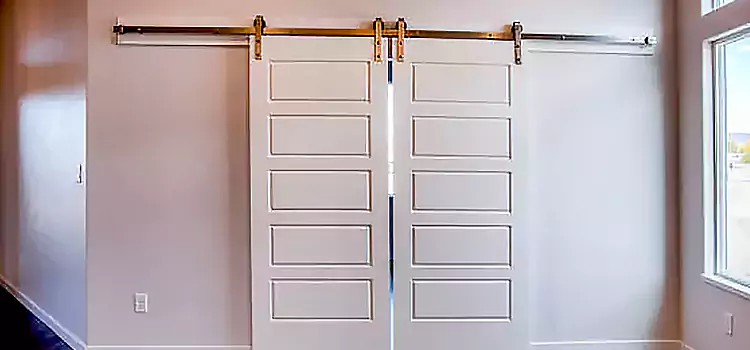 Glass Barn Door with Installation Hardware Kit Dunwoody