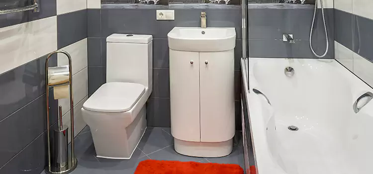 Hansgrohe Shaving Mirror Dunwoody